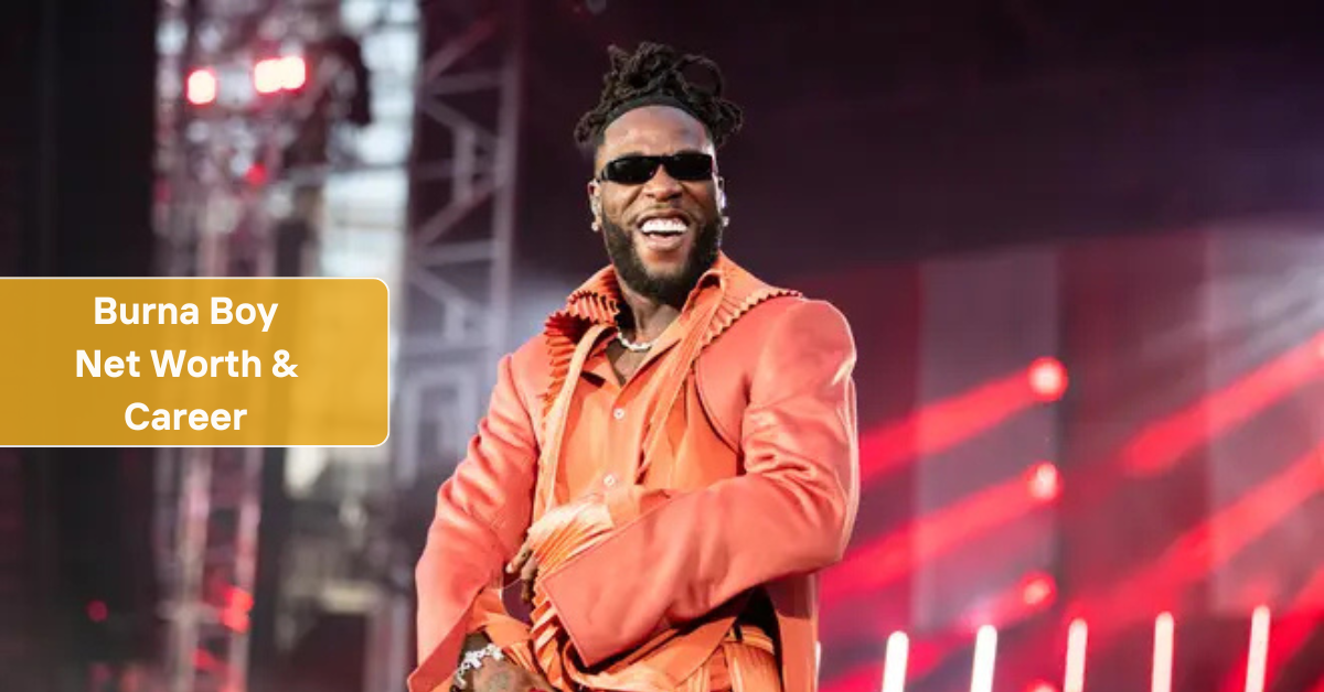 Burna Boy Net Worth & Career